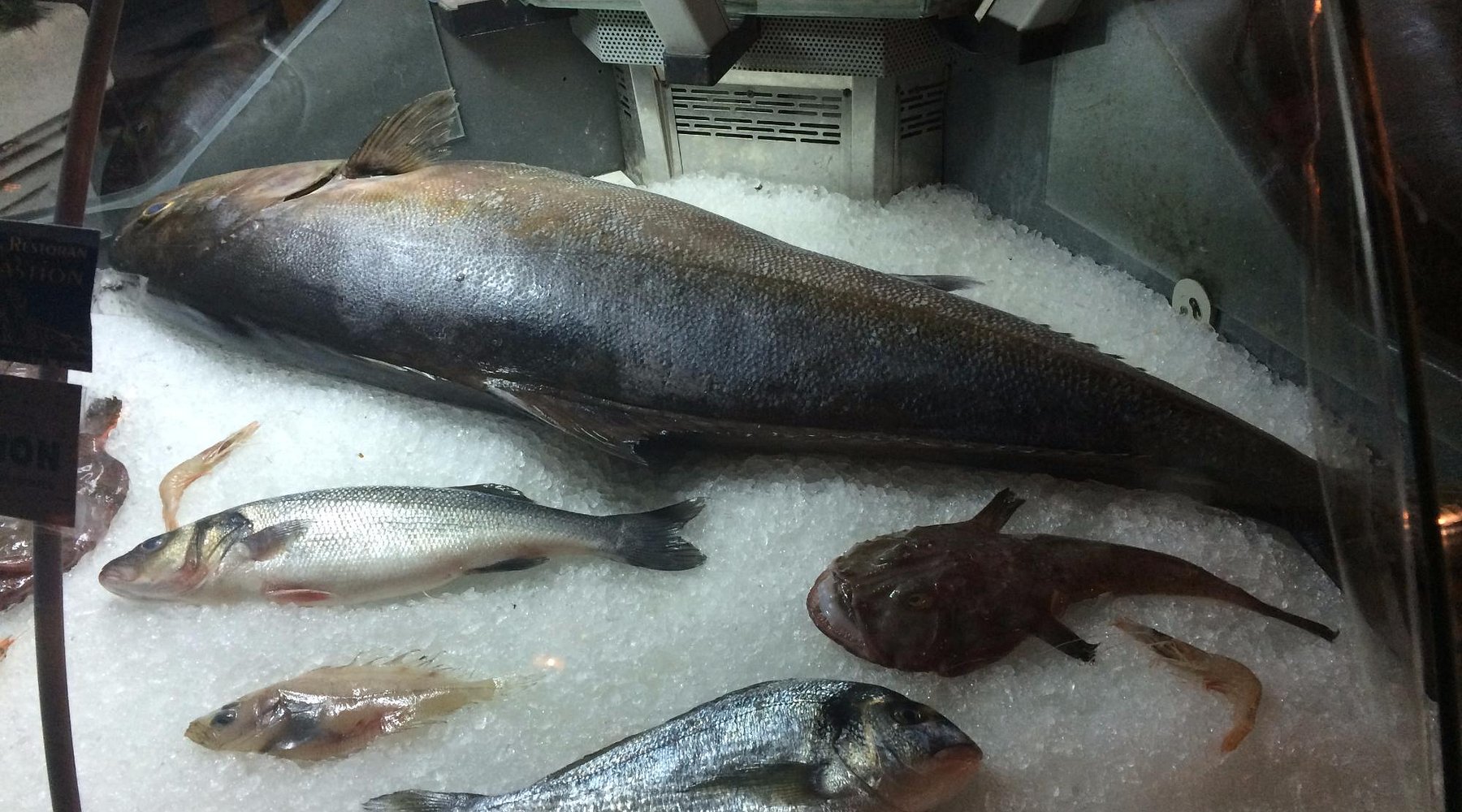 Fresh Seafood Specialties